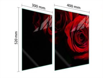 TMK ZAŠTITNA PLOČA OD STAKLA ZA ŠTEDNJAK 70x52 RUŽA