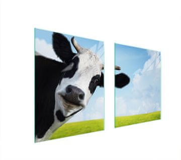 TMK ZAŠTITNA PLOČA OD STAKLA ZA ŠTEDNJAK 85x52 COW