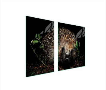 TMK STAKLENI TANJUR I DASKA ZA REZANJE 100x52 JEŽ