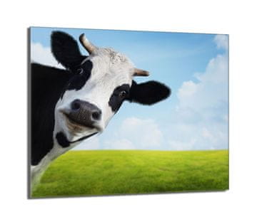 TMK Staklena zaštitna ploča za štednjak 60x52 Cow
