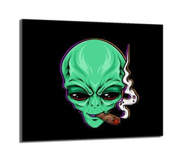 TMK Zaštitna staklena ploča za štednjak 60x52 UFO