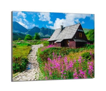 TMK Staklena zaštitna ploča za štednjak 60x52 Planine