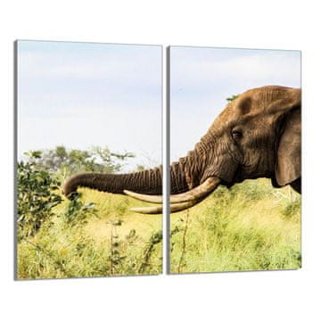 TMK Staklena zaštitna ploča za štednjak 2x30x52 Elephant