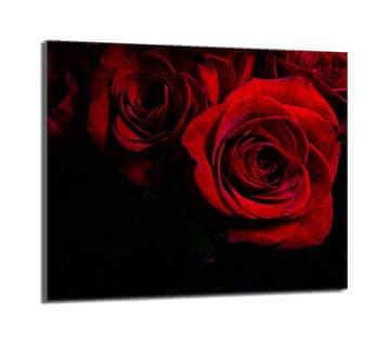 TMK Staklena zaštitna ploča za štednjak 60x52 Rose