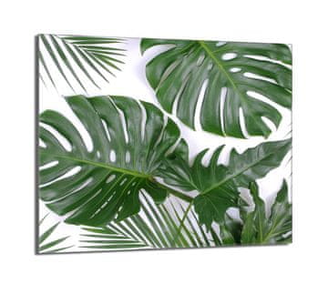TMK Staklena zaštita za ploču za kuhanje 60x52 Monstera