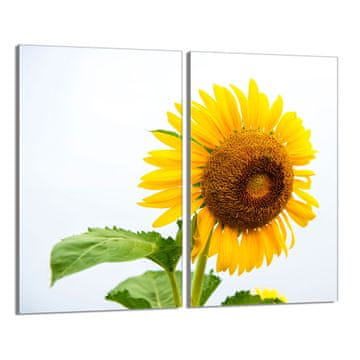 TMK Staklena zaštitna ploča za štednjak 2x30x52 Flower