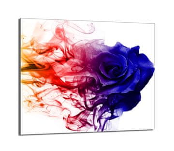 TMK Staklena zaštitna ploča za štednjak 60x52 Rose