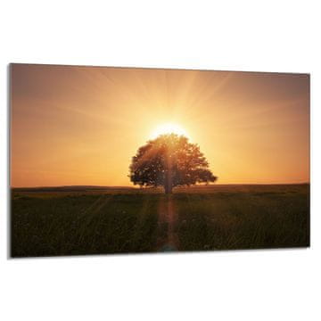 TMK Staklena zaštitna ploča za štednjak 80x52 Tree