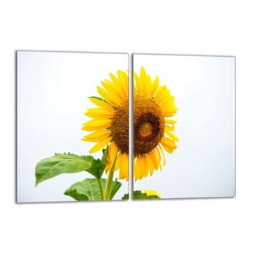 TMK Staklena zaštitna ploča za štednjak 2x40x52 Flower