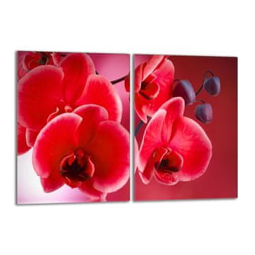TMK Zaštitna staklena ploča za štednjak 2x40x52 Orchidea