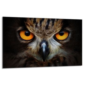 TMK Staklena zaštitna ploča za štednjak 80x52 Owl