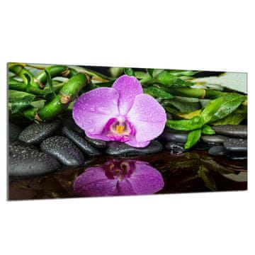 TMK Zaštitna staklena ploča za štednjak 90x52 Orchidea