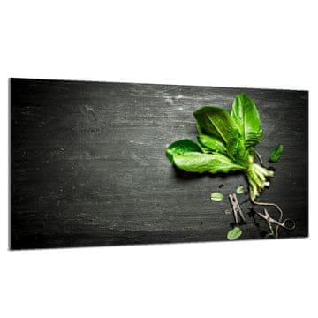 TMK Staklena zaštita za ploču za kuhanje 90x52 Bazil