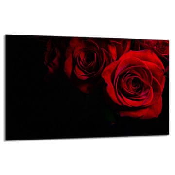 TMK Staklena zaštitna ploča za štednjak 80x52 Rose