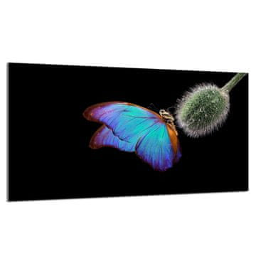 TMK Staklena zaštitna ploča za štednjak 90x52 Leptir