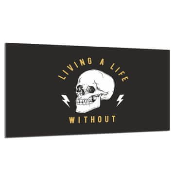 TMK Staklena zaštita za ploču za kuhanje 90x52 Skull