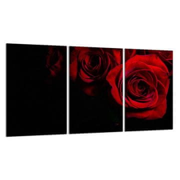 TMK Zaštitna staklena ploča za štednjak 3x30x52