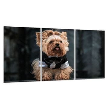 TMK Zaštitna staklena ploča za štednjak 3x30x52