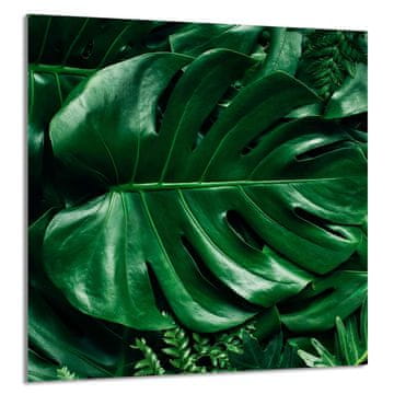 TMK STAKLENA PLOČA ZA KUHINJU 60x65 Monstera