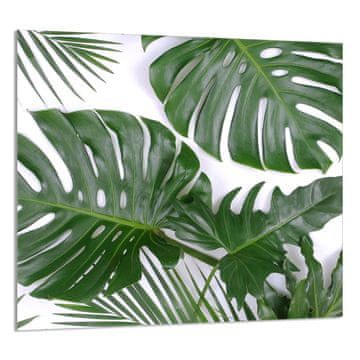 TMK STAKLENA PLOČA ZA KUHINJU 65x60 Monstera