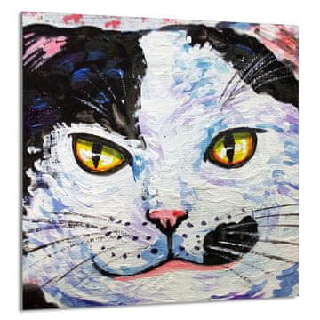 TMK STAKLENA PLOČA ZA KUHINJU 60x65 Mačka