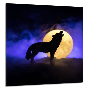 TMK STAKLENA PLOČA ZA KUHINJU 60x65 Wilk