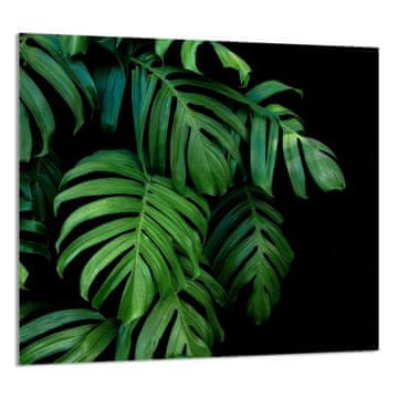 TMK STAKLENA PLOČA ZA KUHINJU 65x60 Monstera