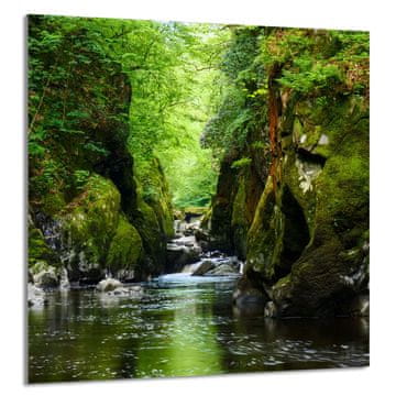 TMK STAKLENA PLOČA ZA KUHINJU 60x65 Forest