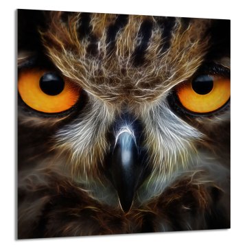 TMK STAKLENA PLOČA ZA KUHINJU 60x65 Sova