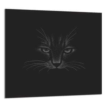 TMK STAKLENA PLOČA ZA KUHINJU 65x60 Mačka