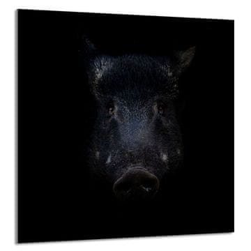 TMK STAKLENA PLOČA ZA KUHINJU 60x65 Divlja svinja