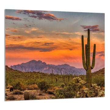 TMK STAKLENA PLOČA ZA KUHINJU 65x60 Planine