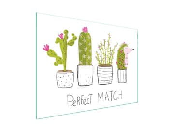 TMK ZAŠTITNA PLOČA OD STAKLENA ZA ŠTEDNJAK 70x52 CACTUS
