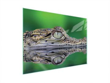 TMK ZAŠTITNA PLOČA OD STAKLA ZA ŠTEDNJAK 70x52 KROKODILA