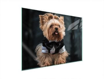 TMK ZAŠTITNA PLOČA OD STAKLENA ZA ŠTEDNJAK 70x52 DOG