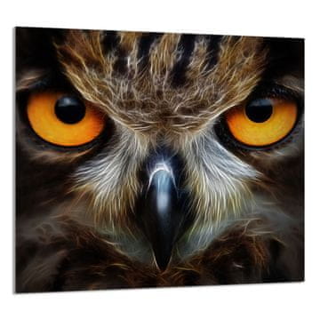 TMK STAKLENA PLOČA ZA KUHINJU 65x60 Sova