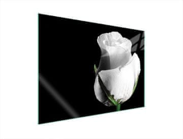 TMK ZAŠTITNA PLOČA OD STAKLA ZA ŠTEDNJAK 70x52 RUŽA