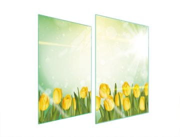 TMK ZAŠTITNA STAKLENA PLOČA ZA KUHINJU 2x35x52 TULIPANA