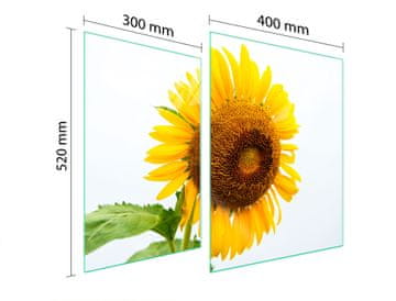 TMK ZAŠTITNA PLOČA OD STAKLENA ZA ŠTEDNJAK 70x52 CVIJET