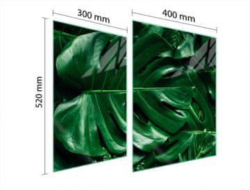 TMK ZAŠTITNA PLOČA OD STAKLA ZA ŠTEDNJAK 70x52 MONSTERA