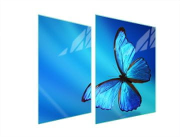 TMK ZAŠTITNA PLOČA OD STAKLA ZA ŠTEDNJAK 70x52 BUTTERFLY