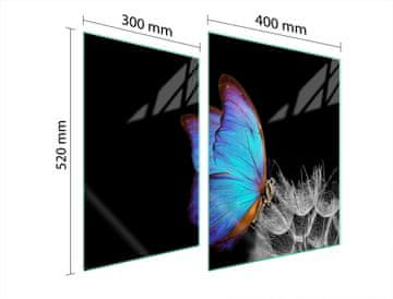 TMK ZAŠTITNA PLOČA OD STAKLA ZA ŠTEDNJAK 70x52 BUTTERFLY
