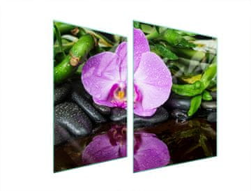 TMK ZAŠTITNA PLOČA OD STAKLA ZA ŠTEDNJAK 70x52 ORHIDEJA