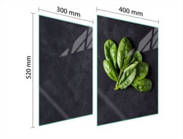 TMK ZAŠTITNA PLOČA OD STAKLA ZA ŠTEDNJAK 70x52 BASIL