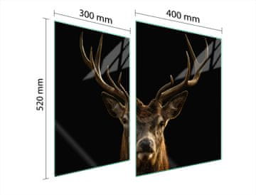 TMK ZAŠTITNA PLOČA OD STAKLA ZA ŠTEDNJAK 70x52 DEER