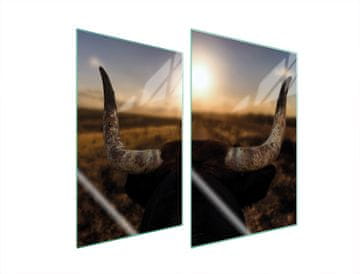 TMK ZAŠTITNA PLOČA OD STAKLA ZA KUHINJU 2x35x52 SUN