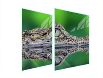 TMK ZAŠTITNA PLOČA OD STAKLA ZA ŠTEDNJAK 70x52 KROKODILA