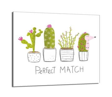 TMK Staklena zaštita za štednjak 60x52 Cactus
