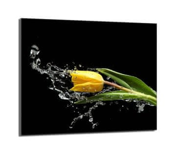 TMK Staklena zaštita za ploču za kuhanje 60x52 Tulip