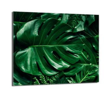 TMK Staklena zaštita za ploču za kuhanje 60x52 Monstera